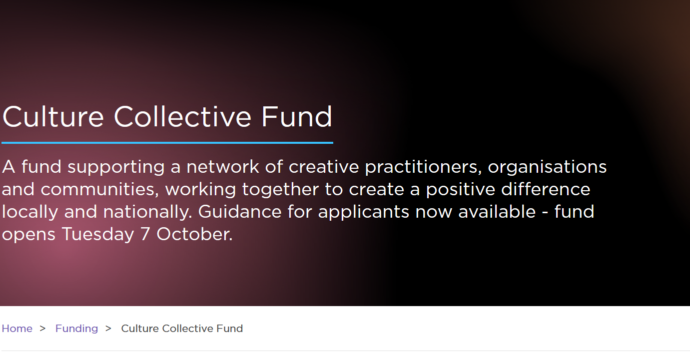 CS Culture Collective questions + funds Post feature image