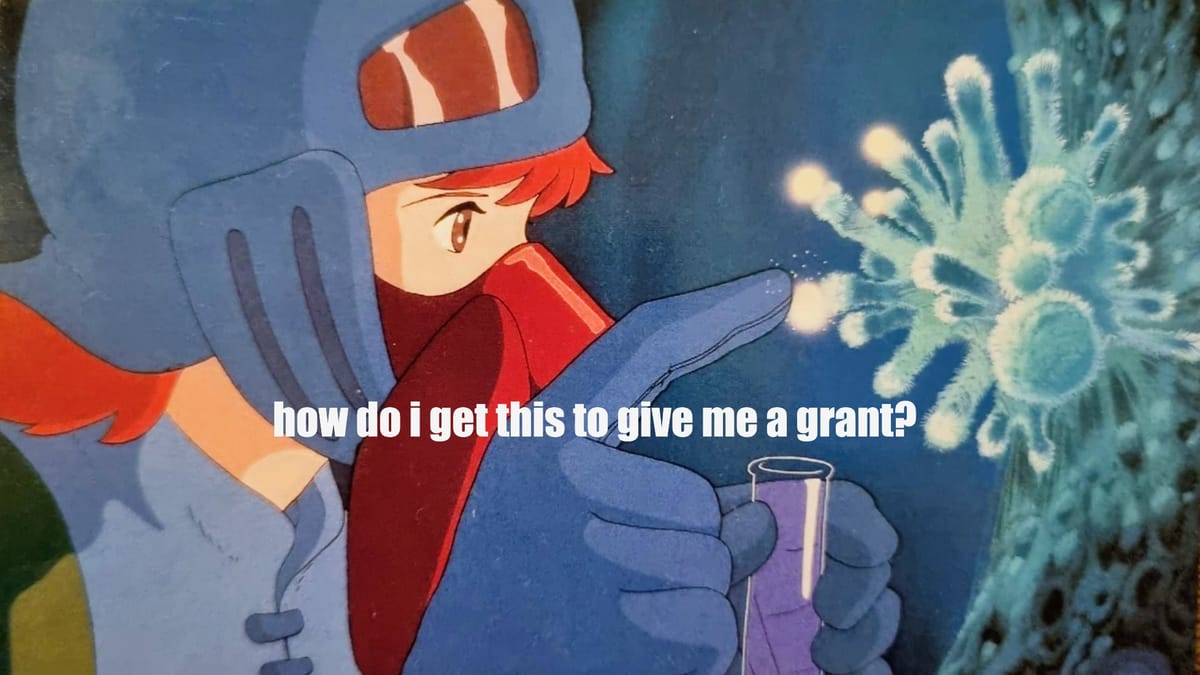 Funding check in slots available Post feature image